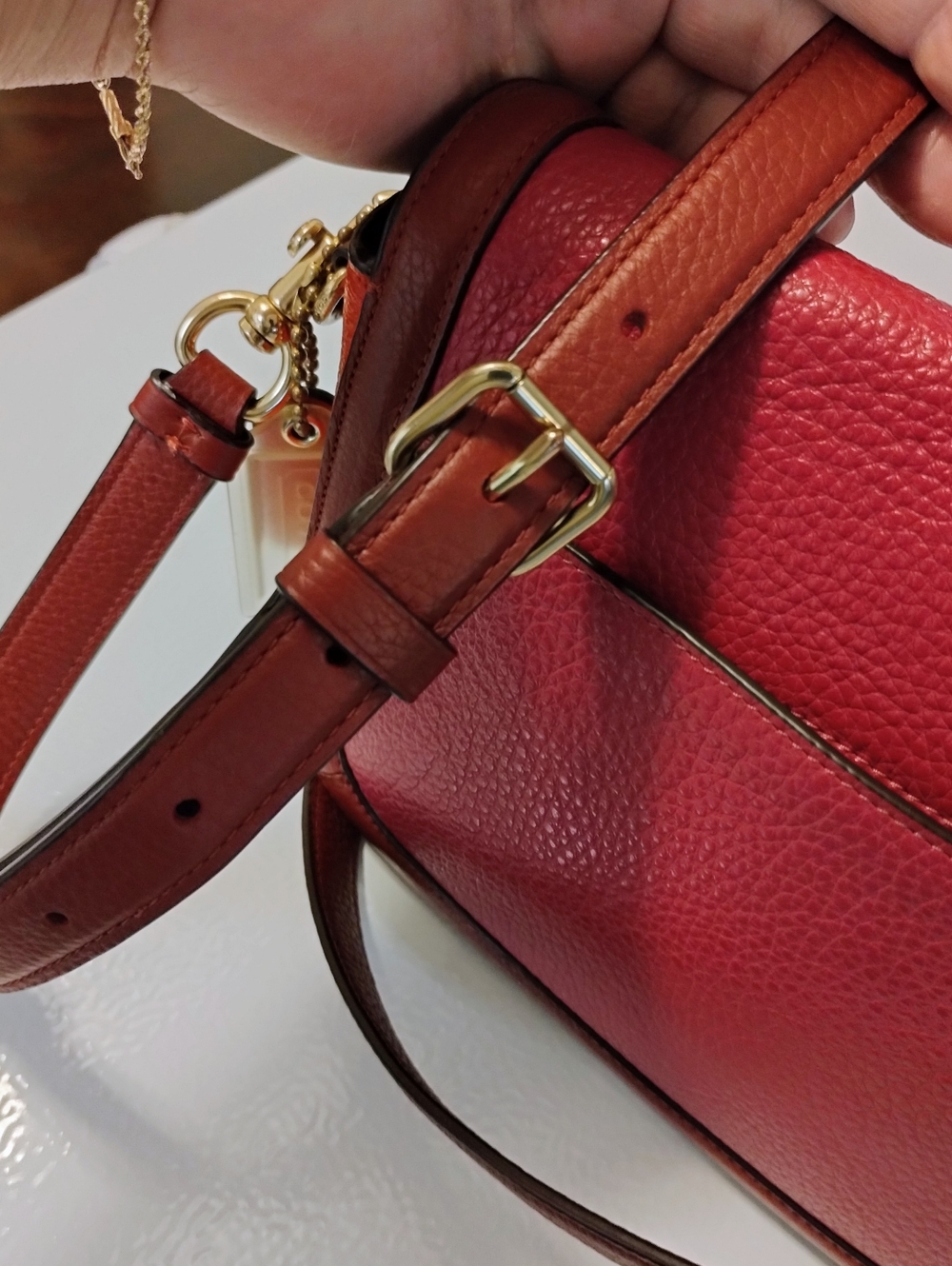 Coach Saddle Bag - Picture 4 of 12